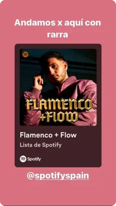 Spotify Story Example 2